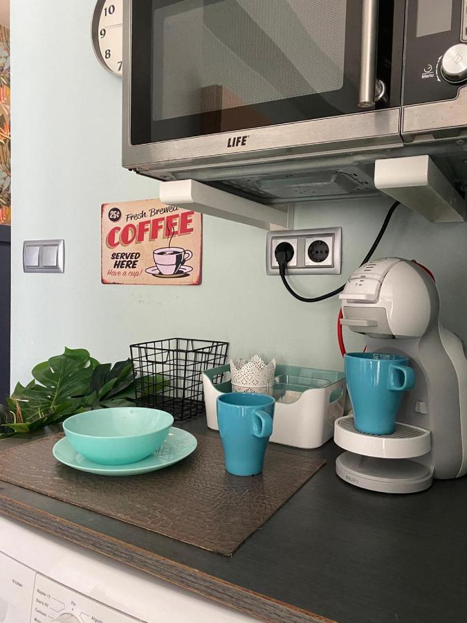 Apartamento Coqueto Y Bien Situado Daire Oliva Dış mekan fotoğraf